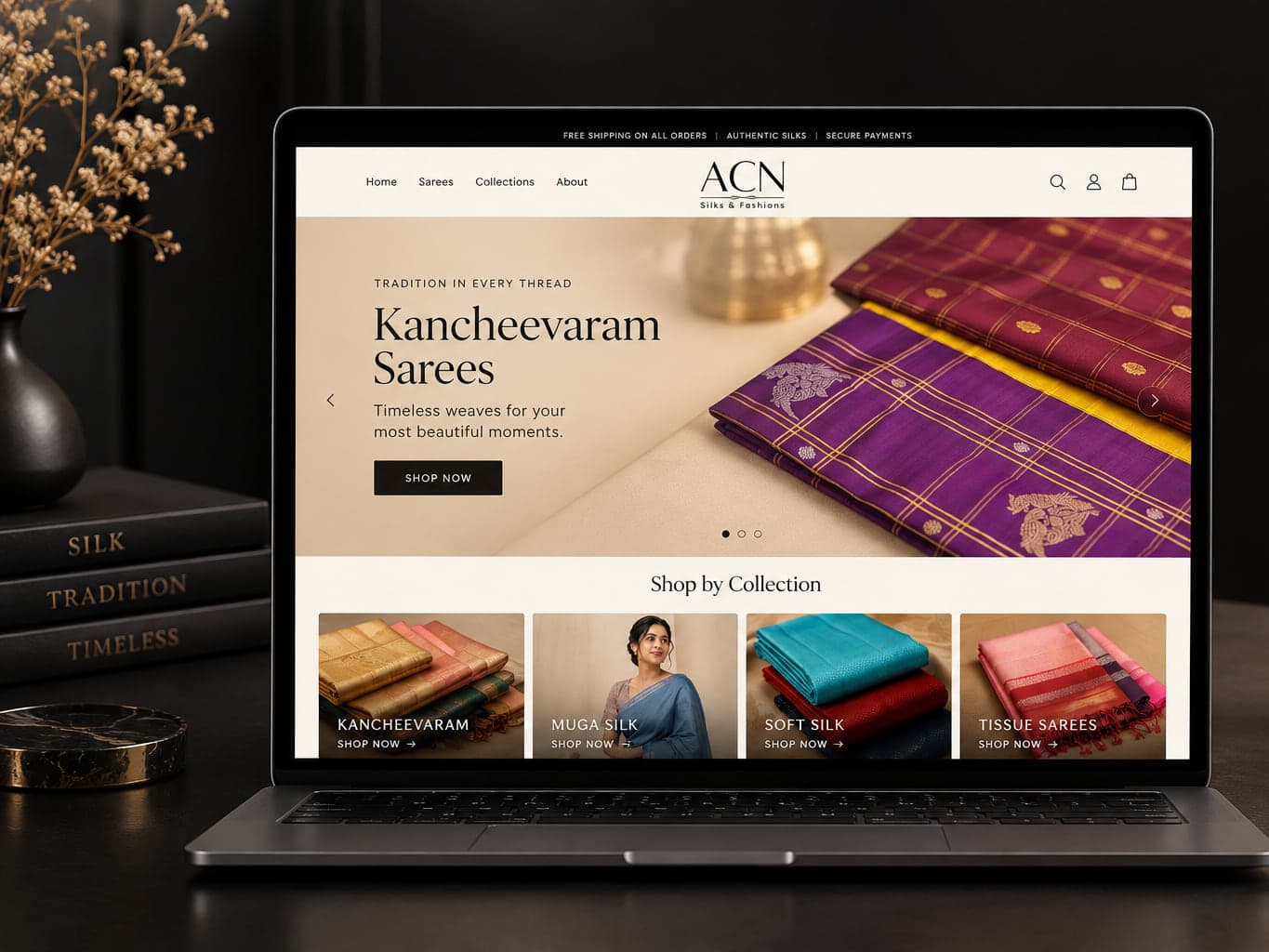 ACN Silks — campaign cover art by Branditars